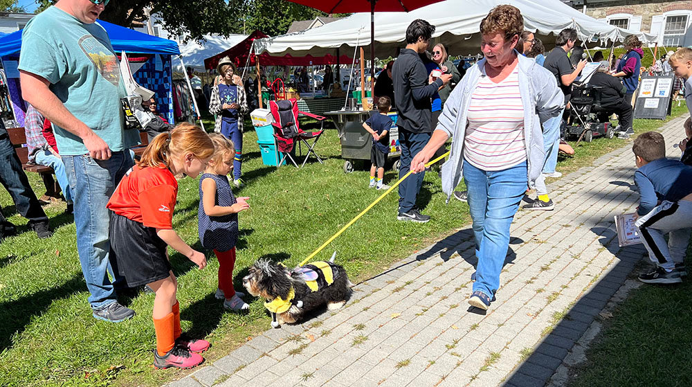 Carol Gates leads her companion Sadie, dressed as a bumblebee, down the catwalk during the dog costume contest.